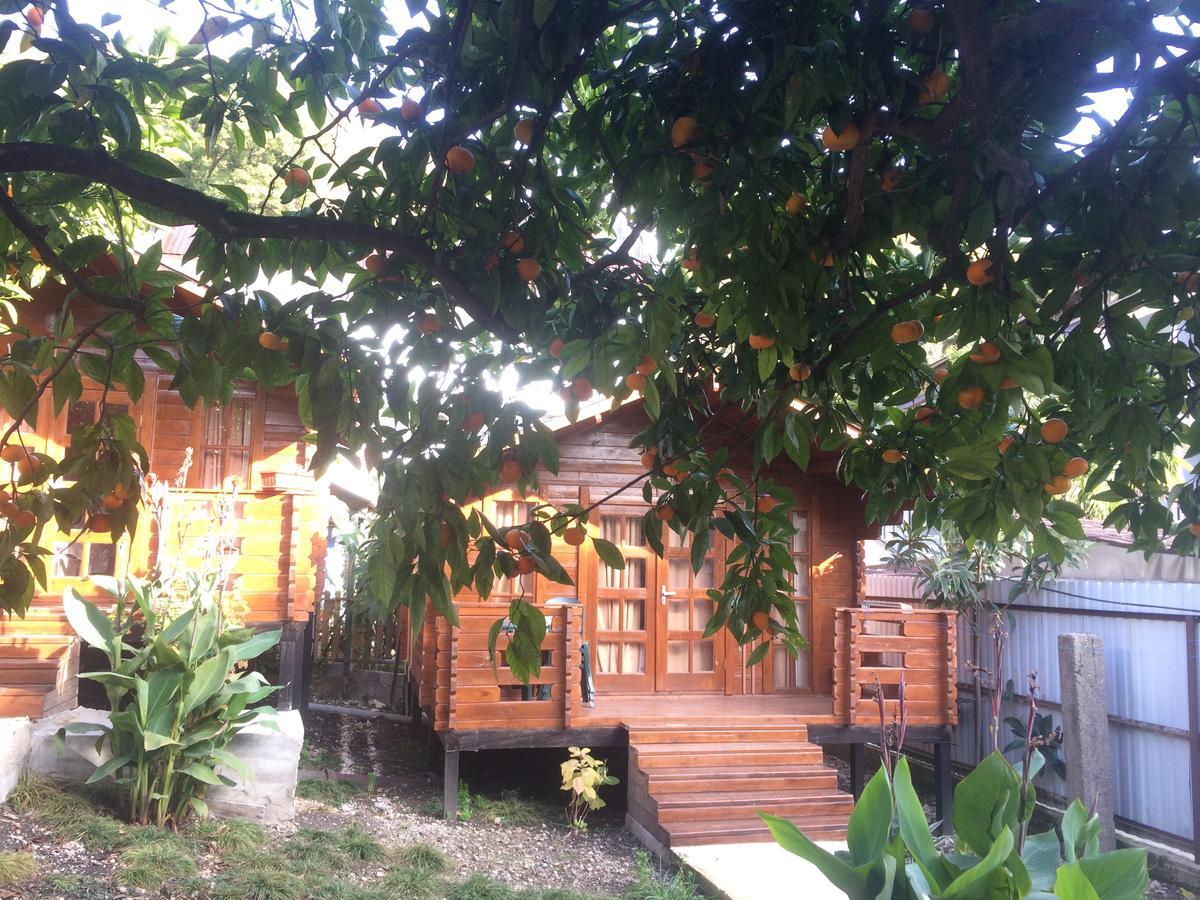 Cottage house New Athos Buitenkant foto